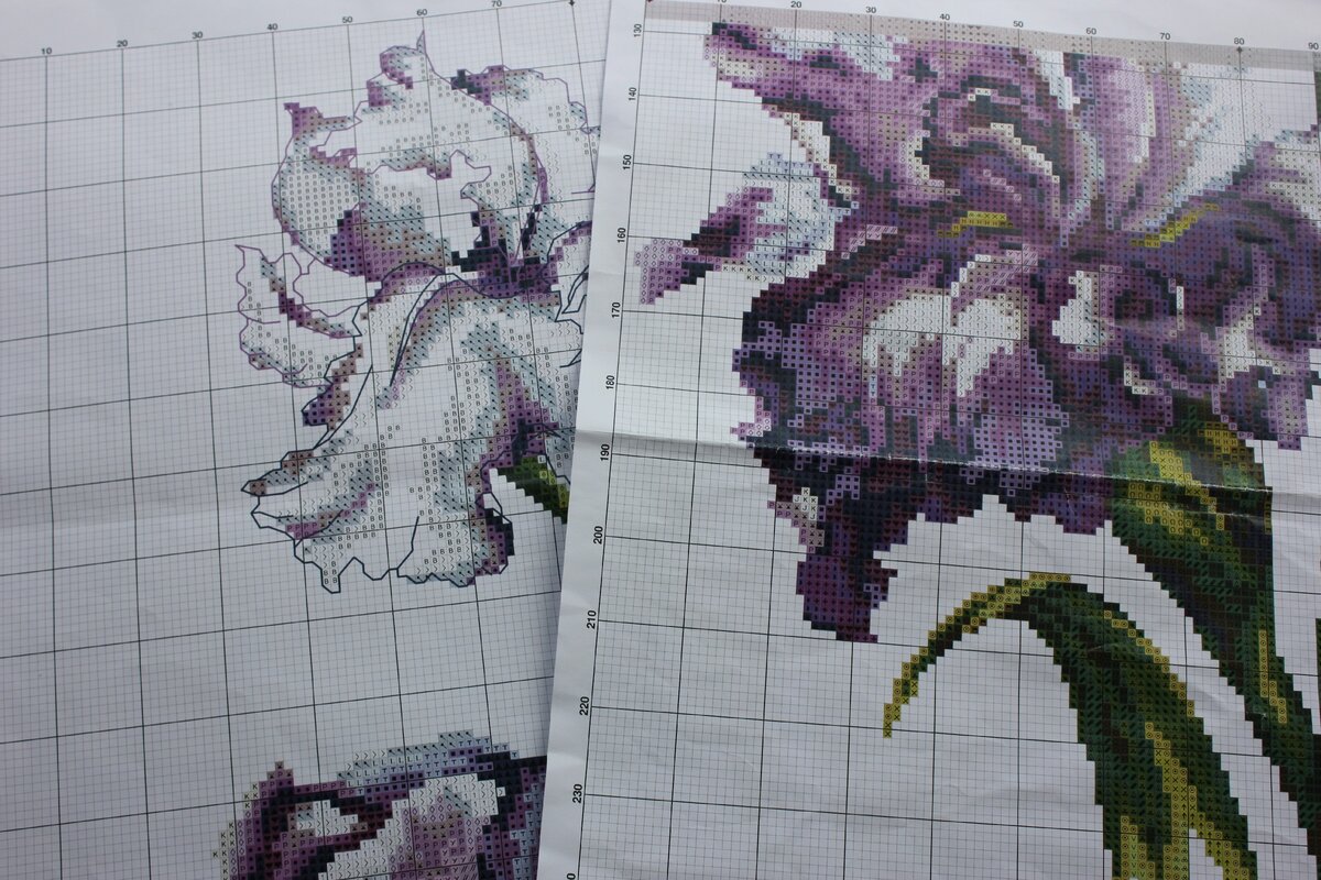 Фото автора статьи