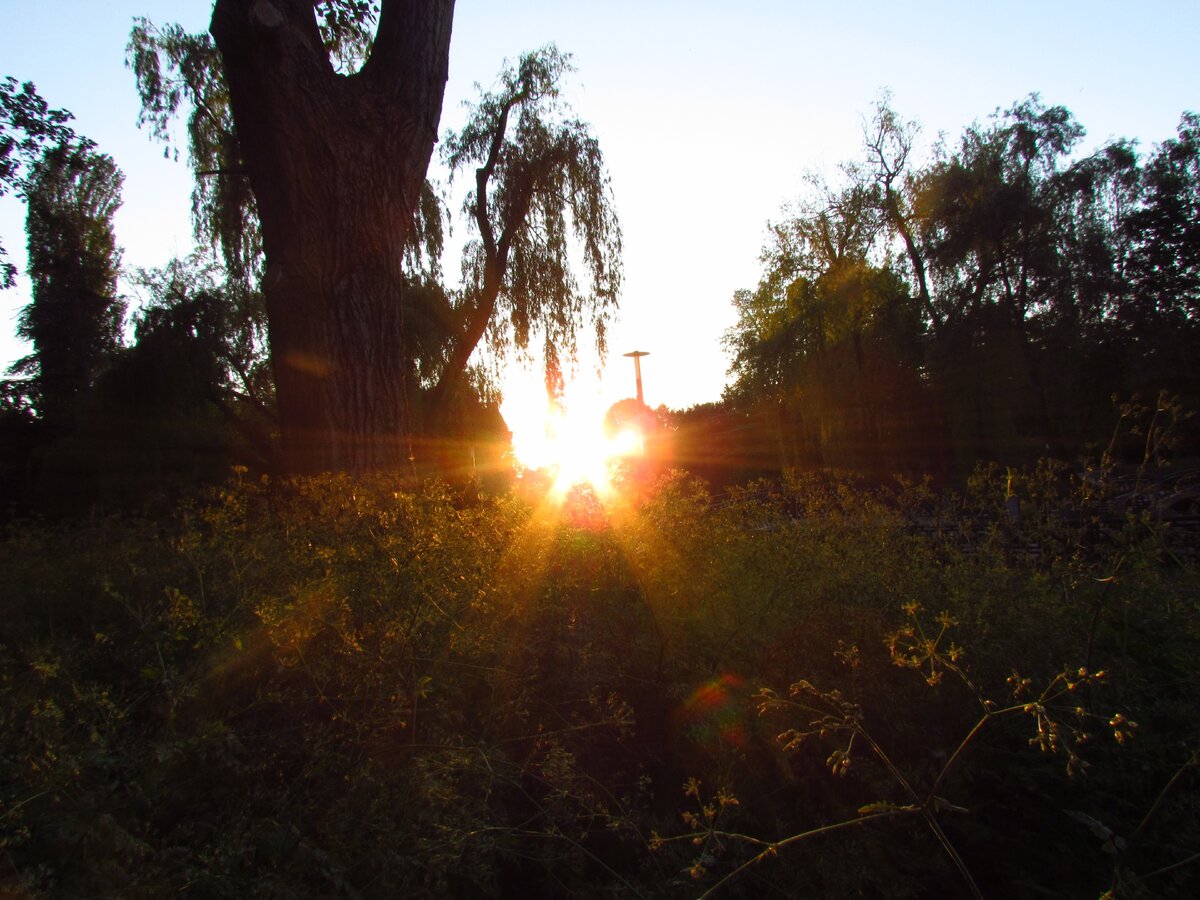 После каждого заката обязательно наступает рассвет .
