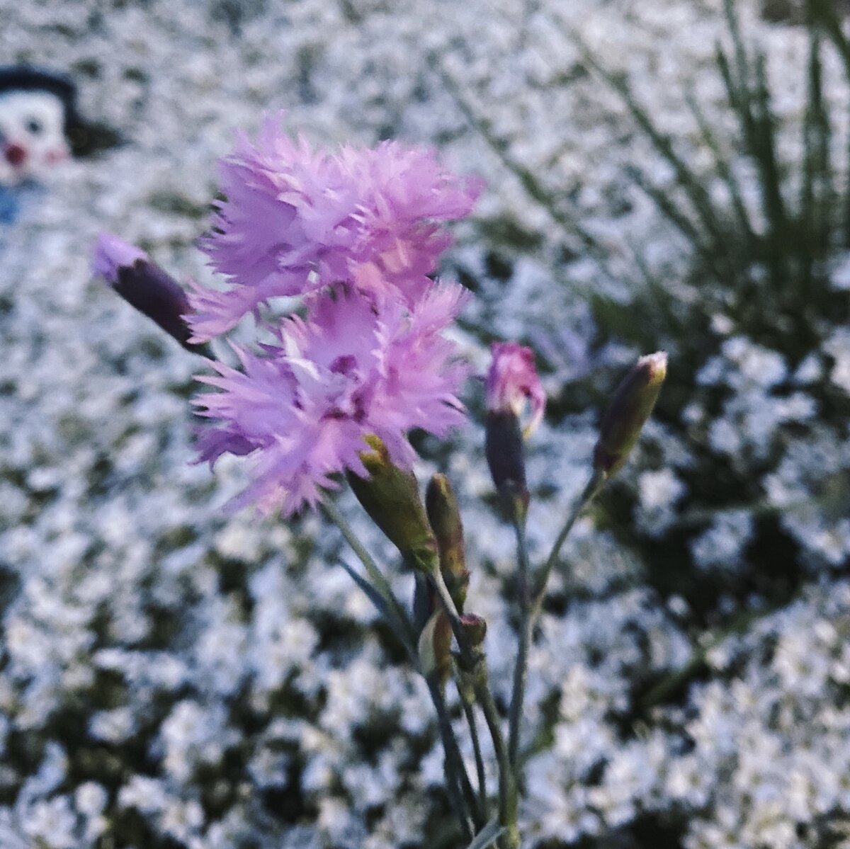 Фото из личного архива