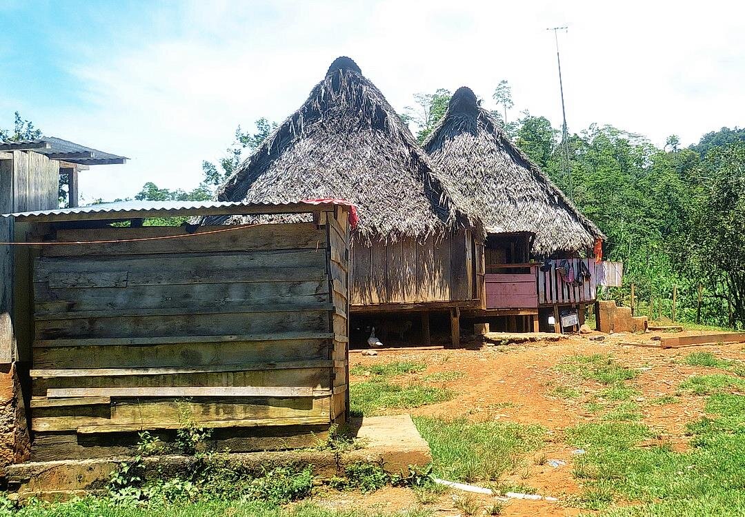 жилища индейцев племени КУНА