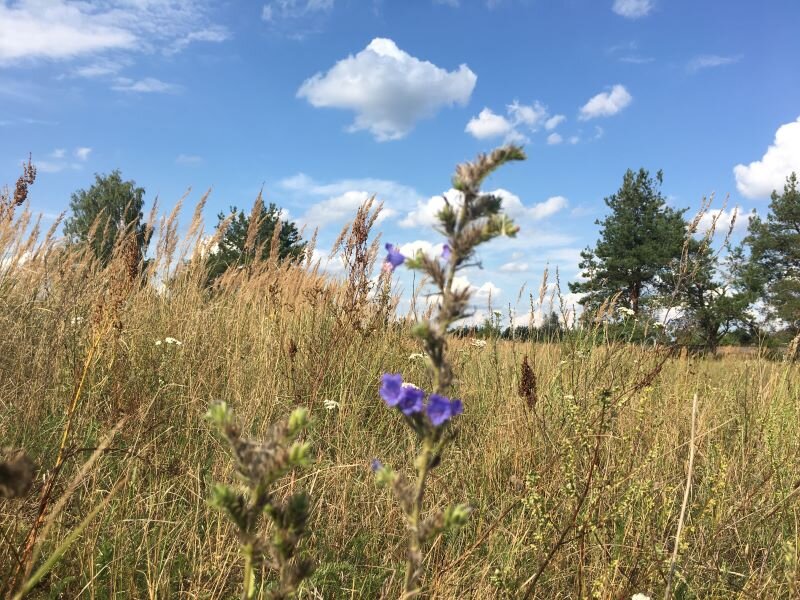 Земля и небо. Фото автора 