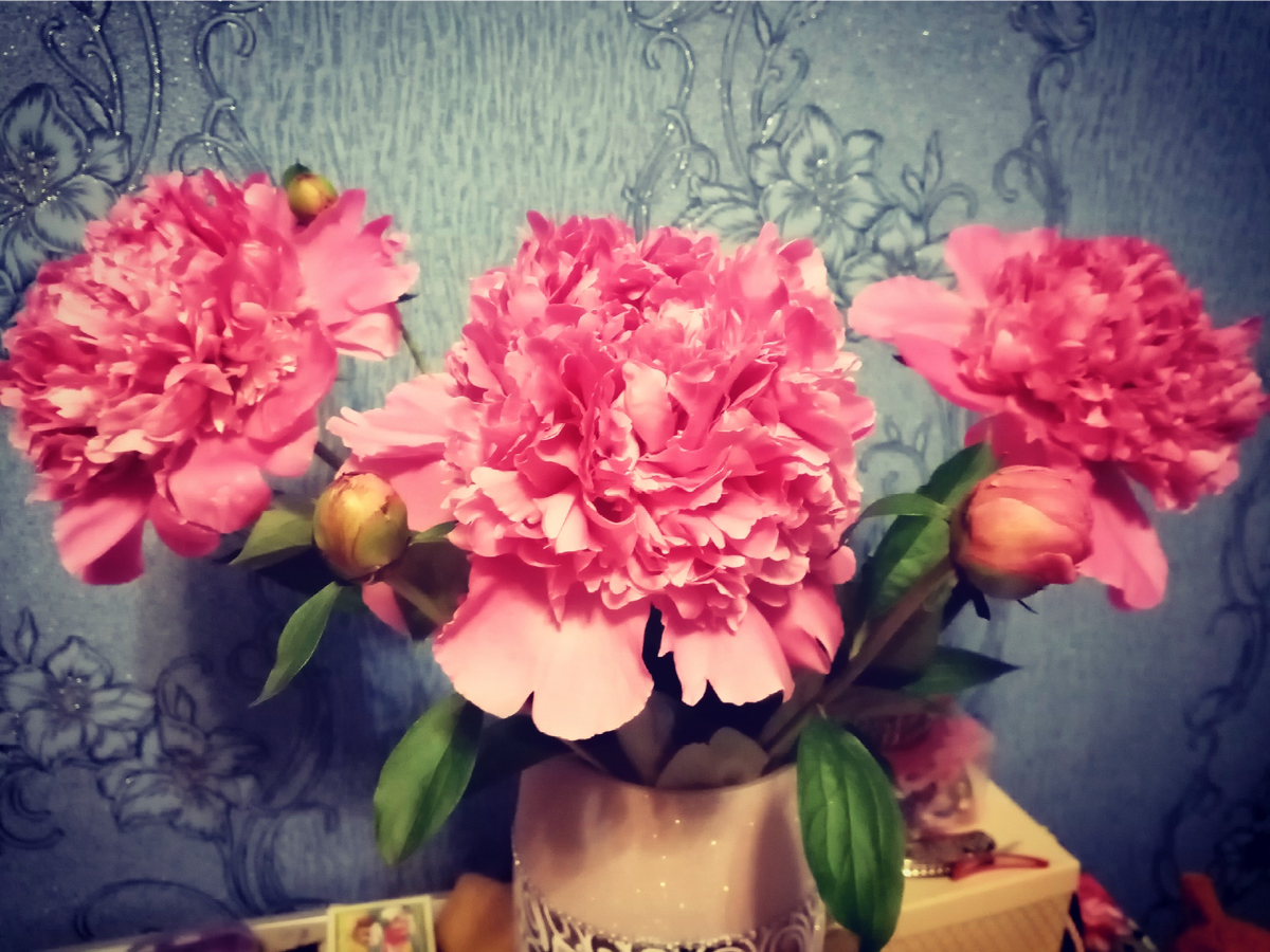 Пионы- аромат распространяется на всю квартиру, ароматизаторы отдыхают