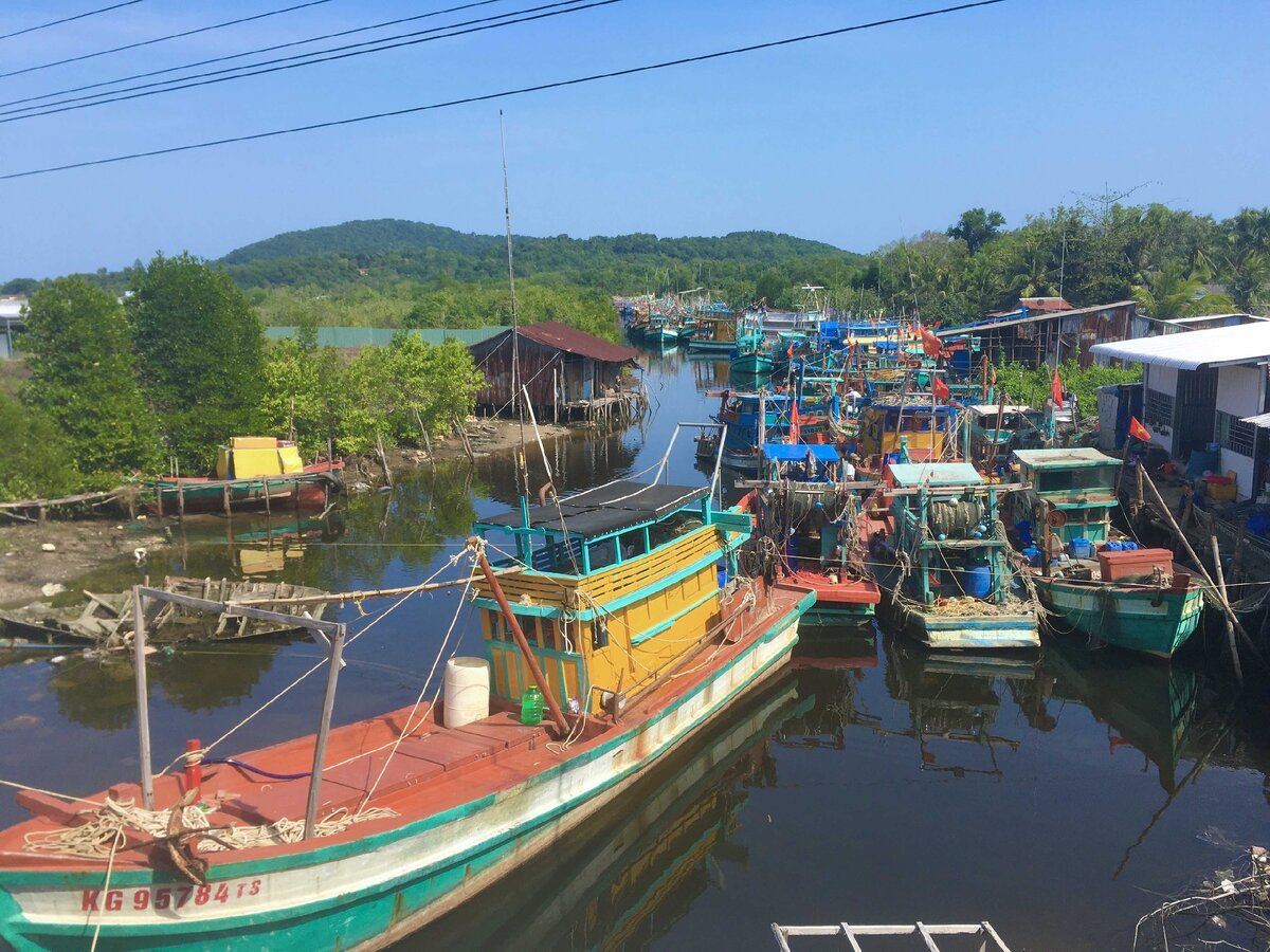 Яркость красок привлекает внимание к неказистым объектам.