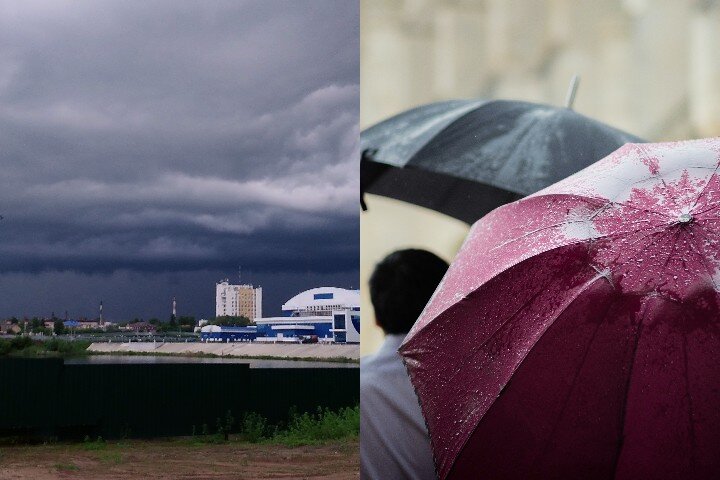 Фото: Анастасия Петрова, unsplash