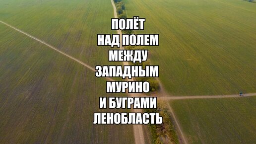 Поле между Западным Мурино и Буграми. Когда-нибудь тут, возможно, будет парк. А пока все гуляют по посевам...