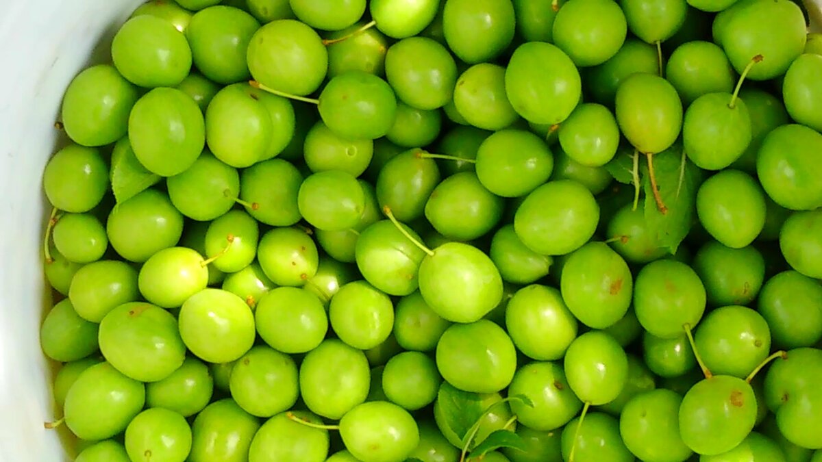 У нас пол-ведра дикой сливы. Здесь в Болгарии называется ДЖАНКА. Все фото автора.