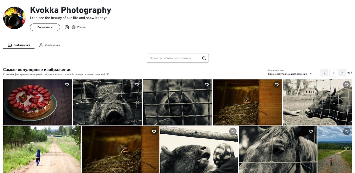 Первый скриншот моего портфолио на shutterstock