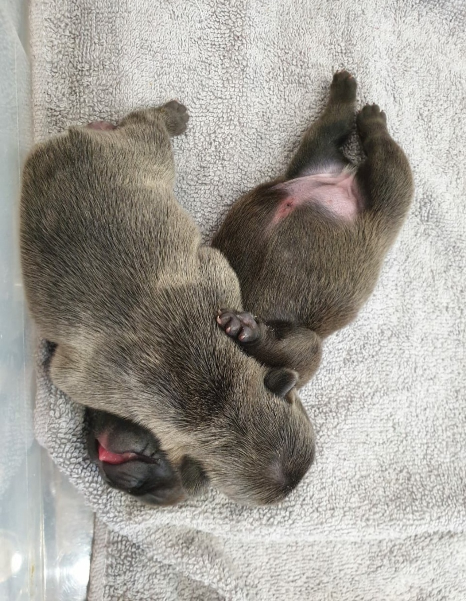 В обнимку, на теплой грелочке