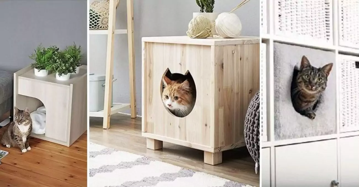 modernplace.ru
