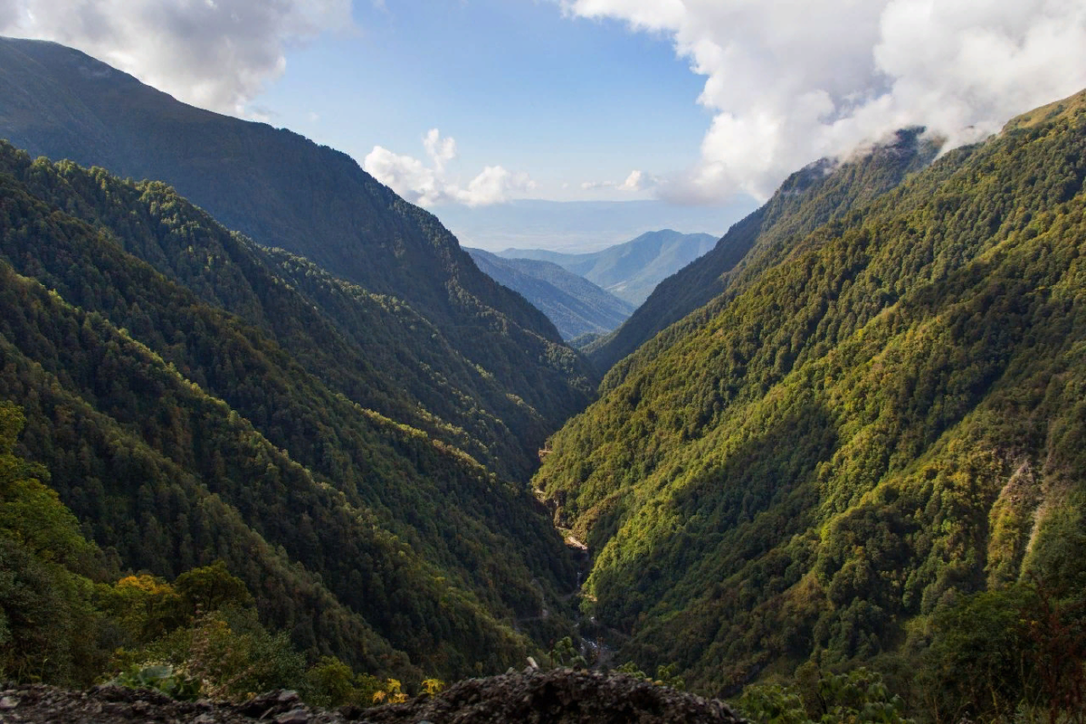 Харагаули Грузия