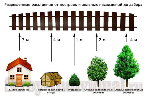 На каком расстоянии от дома можно сажать деревья: нормы СНиП и закон