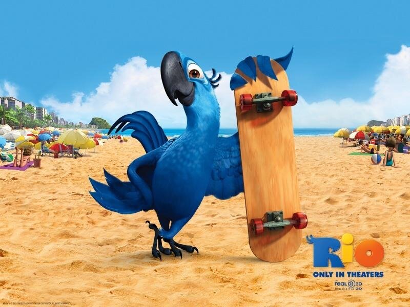 В 2011 году анимационная студия Blue Sky Studios совместно с 20th Century Fox Animation выпустила мультфильм про антропоморфных птиц под названием «Рио».-2