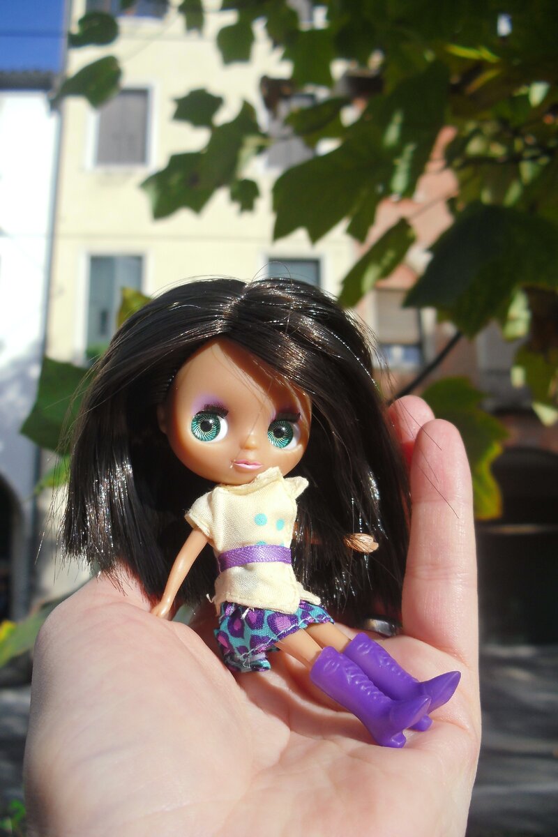 Blythe Petite "Blythe love littlest petshop" в родном аутфите.