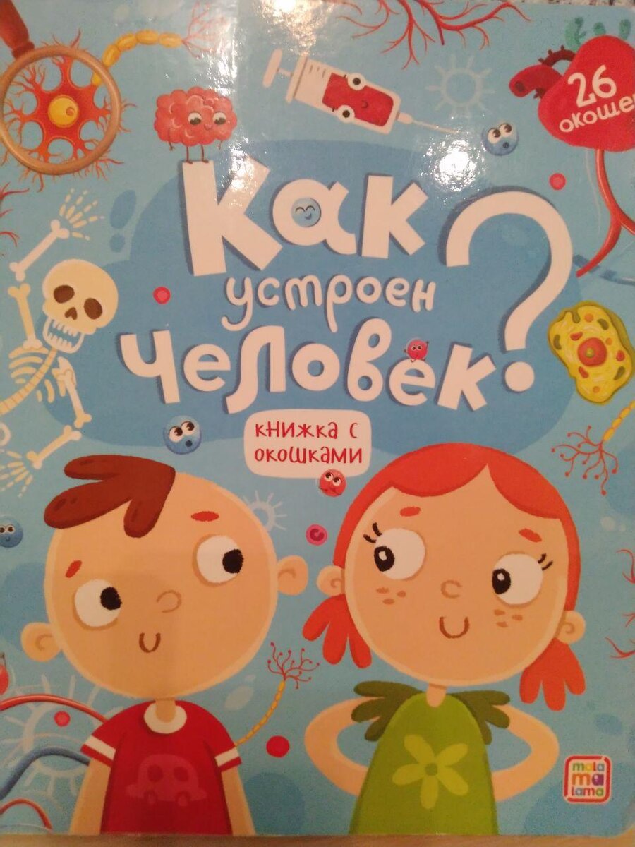 «Как устроен человек?»