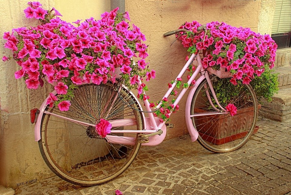 фото Pixabay.com