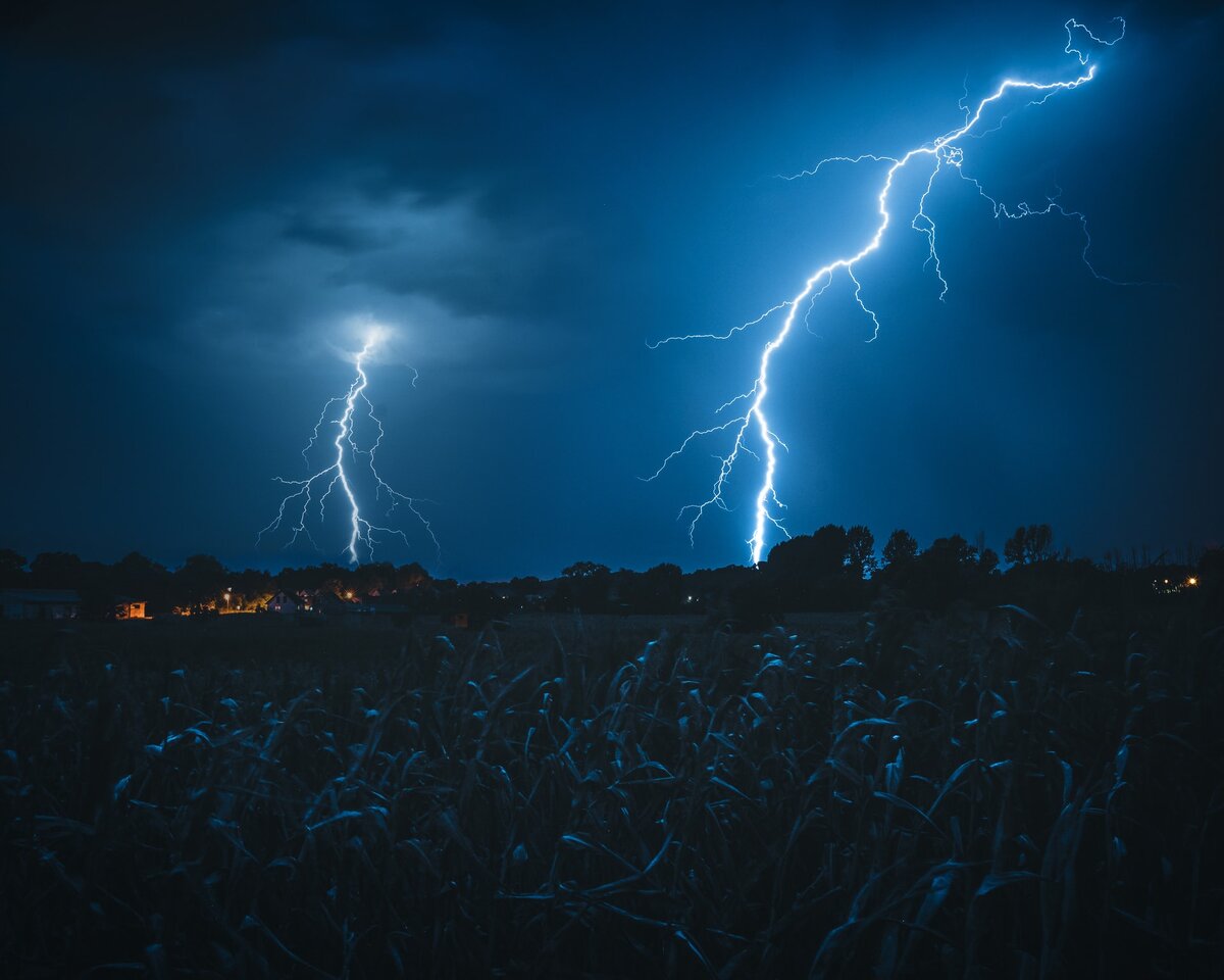 Photo by Max Saeling on Unsplash 

