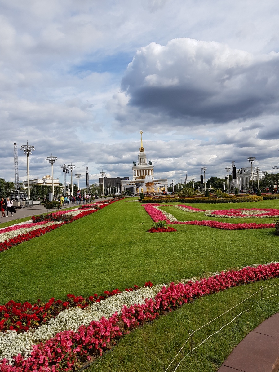 После ЕГЭ думала поступать в Москву