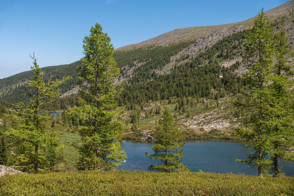 озеры гостиница озеры. озеры школа 4. микрорайон 1 дом 31 озеры. троицкая церковь озеры. озеры 4.