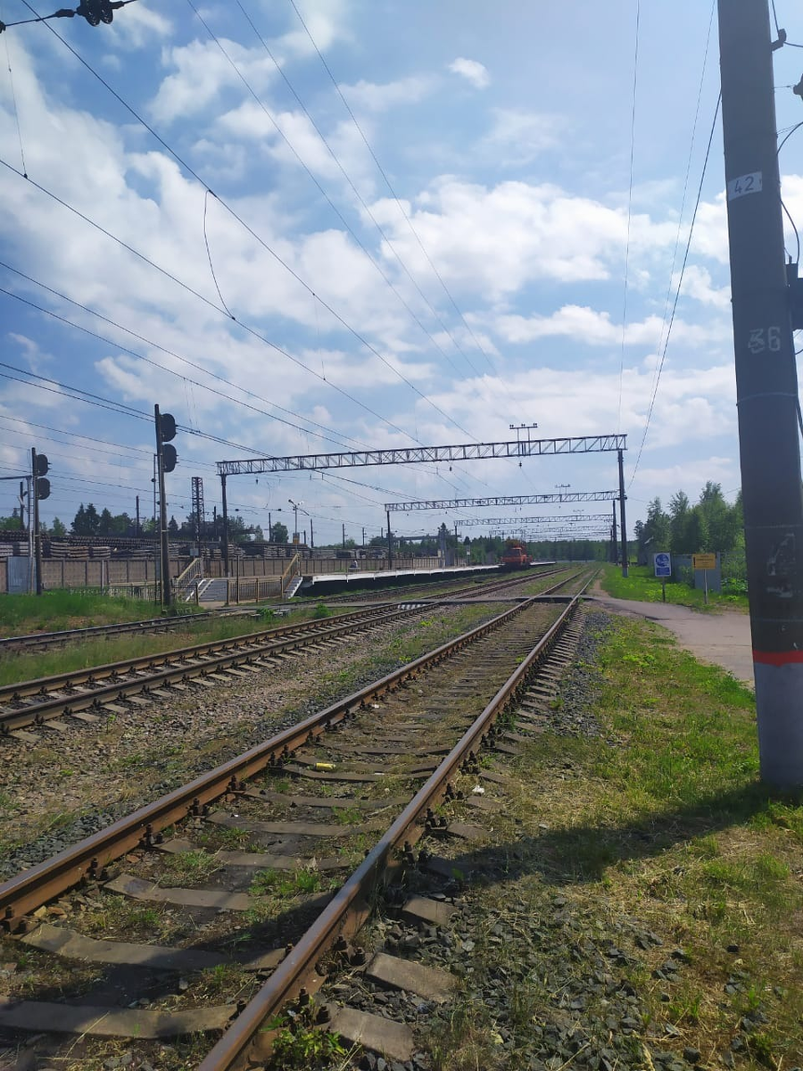 Станция Осельки. ЖД станция Осельки. Осельки (платформа). Станция Пери.