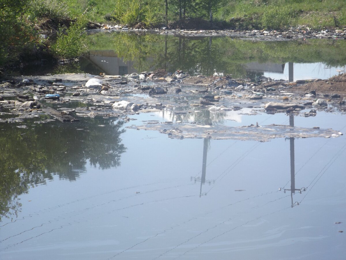 Фото автора.