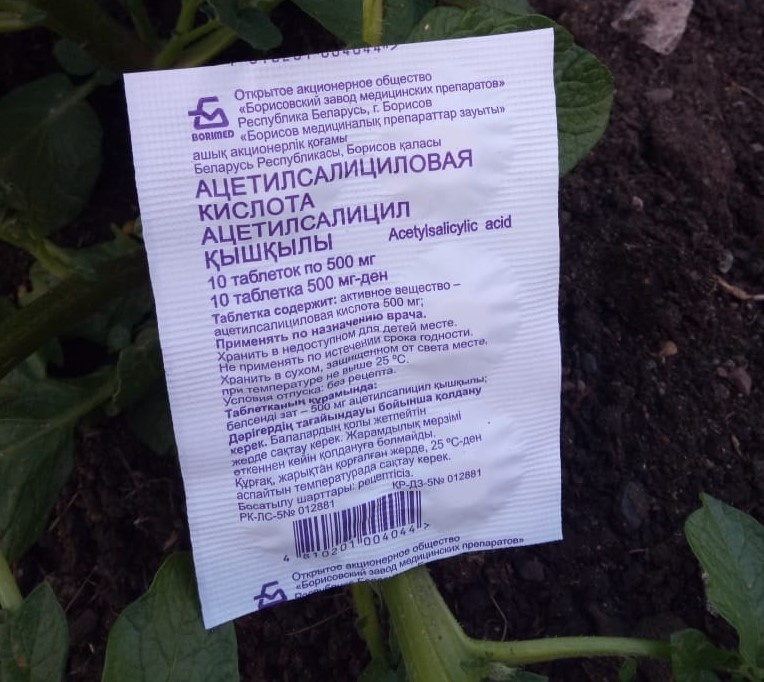 Фото из личного архива