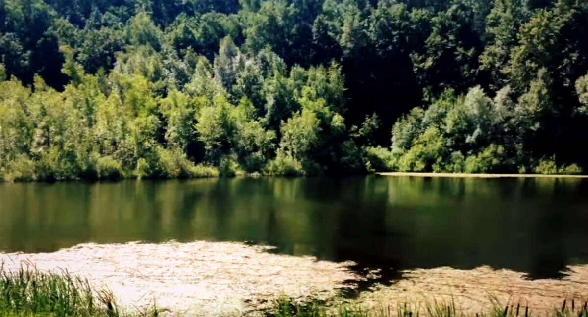 На фото - оно и есть...