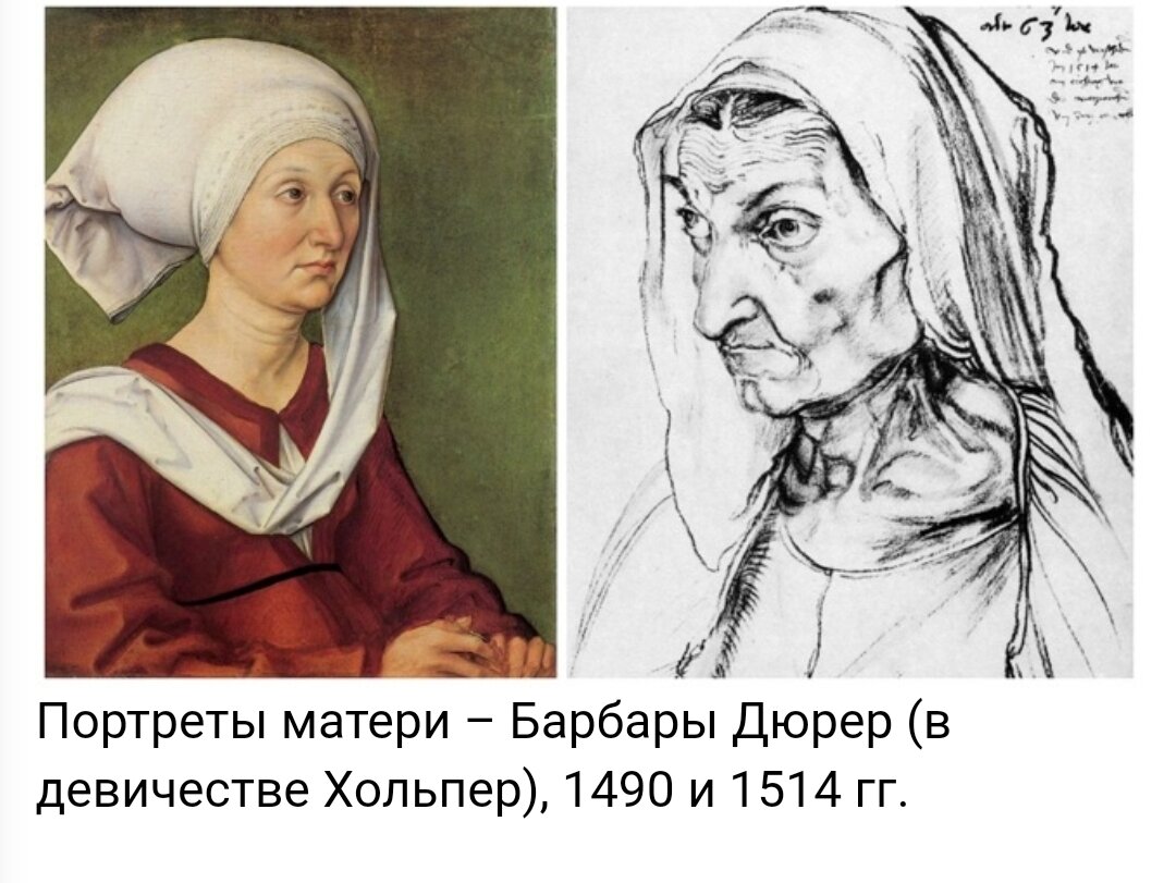 Дюрер портрет родителей. Альбрехт дюрер портрет отца. Портрет барбары дюрер, урождённой хольпер. Альбрехт дюрер портрет отца. Альбрехт дюрер родители.