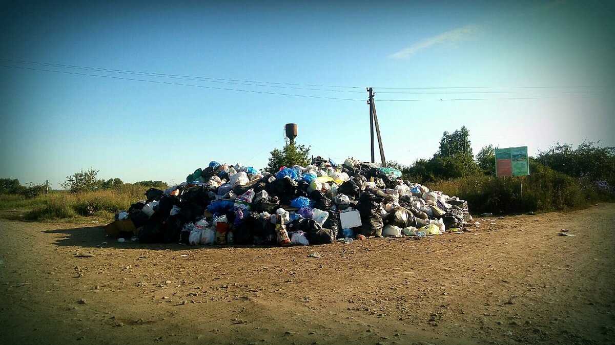 Бросил мусор — не забудь хрюкнуть!