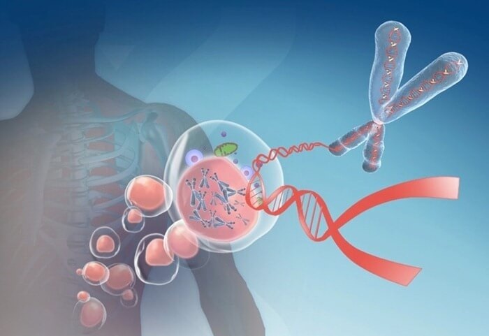 Почему люди стареют? Абсолютно полной ясности в этом вопросе пока нет. Однако исследователи пришли к единому мнению, что клетки организма человека беспрестанно испытывают атаки свободных радикалов, способствующих старению. Принимая достаточное количество полезной пищи, которая богата антиоксидантами, человек помогает своему организму. Питание и антистарение идут рука об руку. Антиоксидантные ингредиенты в лучших омолаживающих продуктах питания способны поглощать реактивные молекулы и защищать клетки. Это заметно, в первую очередь, на коже: антиоксиданты обеспечивают свежий и сияющий цвет лица.