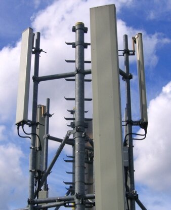 фото из сети