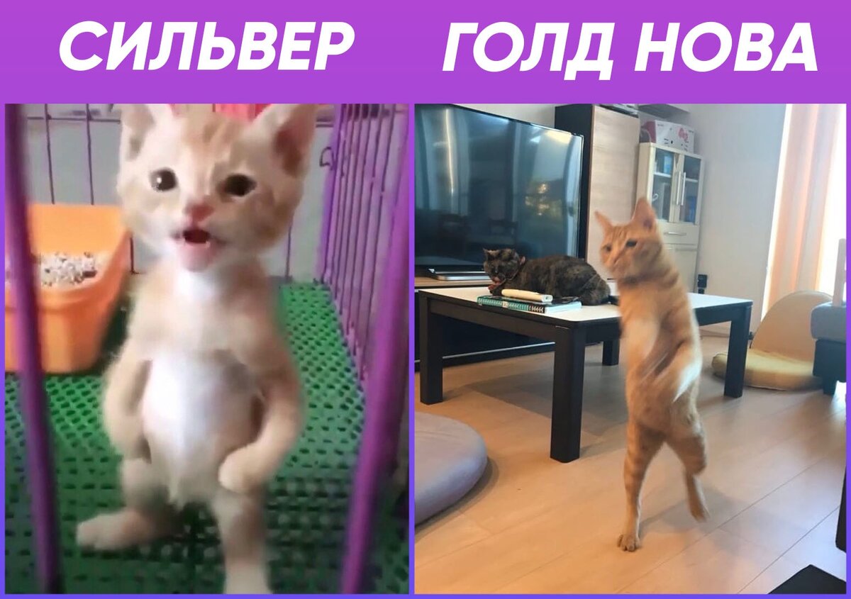 А какой ранг у тебя?