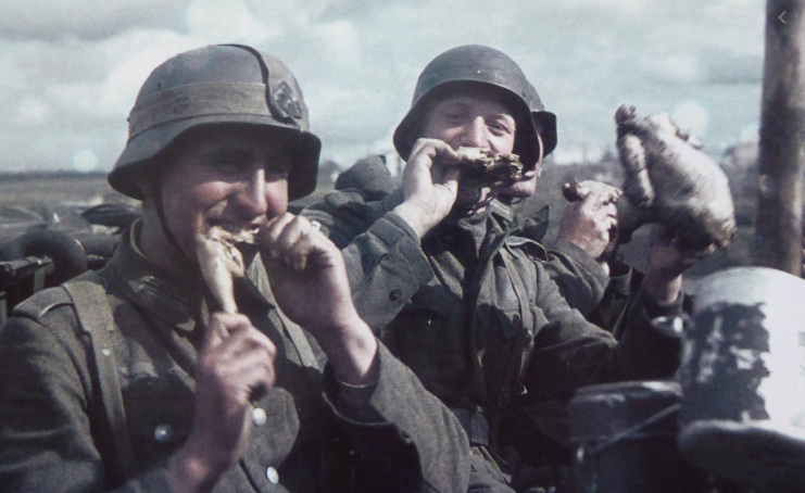 Солдаты вермахта едят курицу по время операции "Барбаросса"