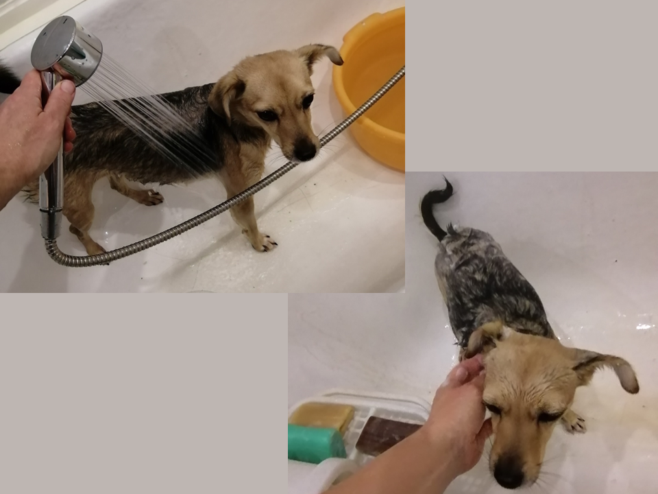 Что делают после долгой дороги? Правильно, в ванну, мыться!