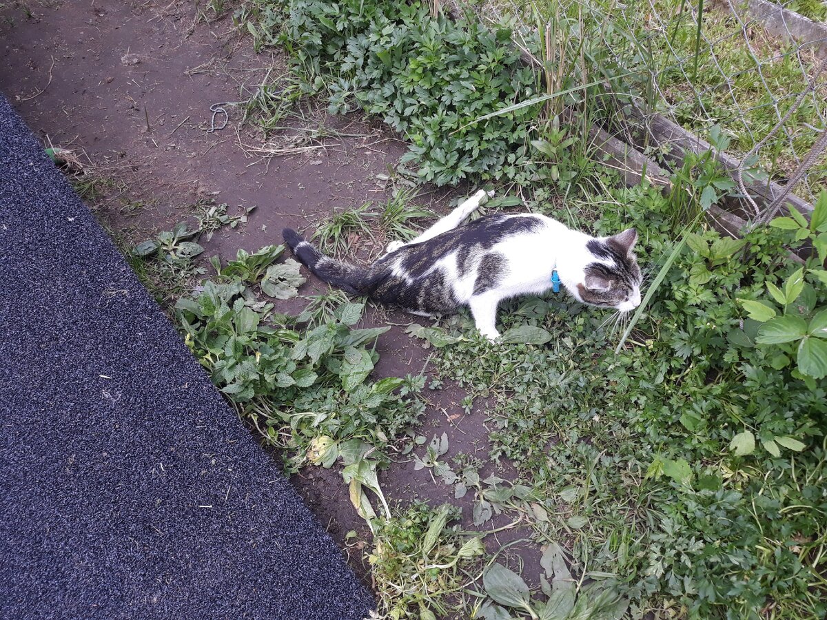 И где тут можно покопаться?