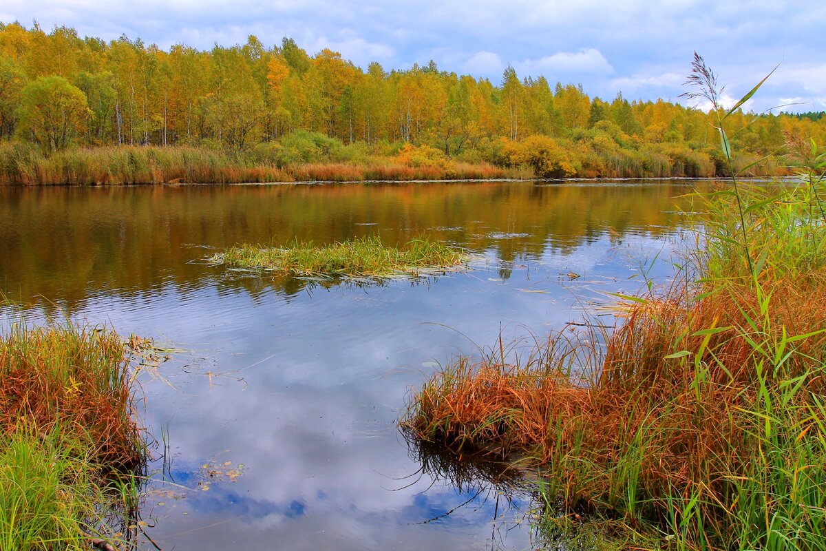 Река Исеть близ мыса Макуша. Озеро Мелкое располагается чуть выше по течению