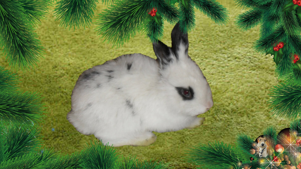 Подписывайтесь на канал, пишите комментарии, ставьте лайки