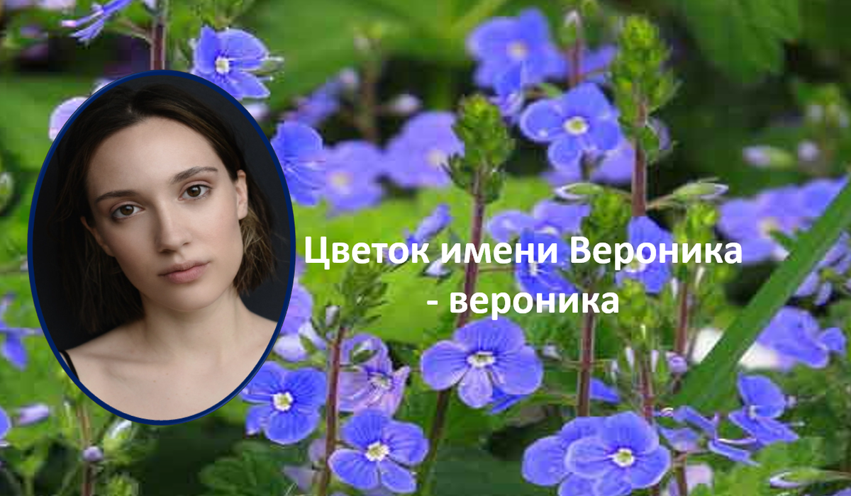 Вероника - цветок женского имени Вероника 