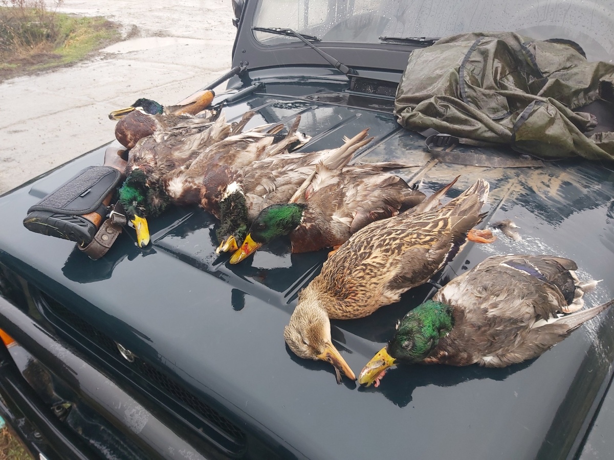 Вот наш результат охоты