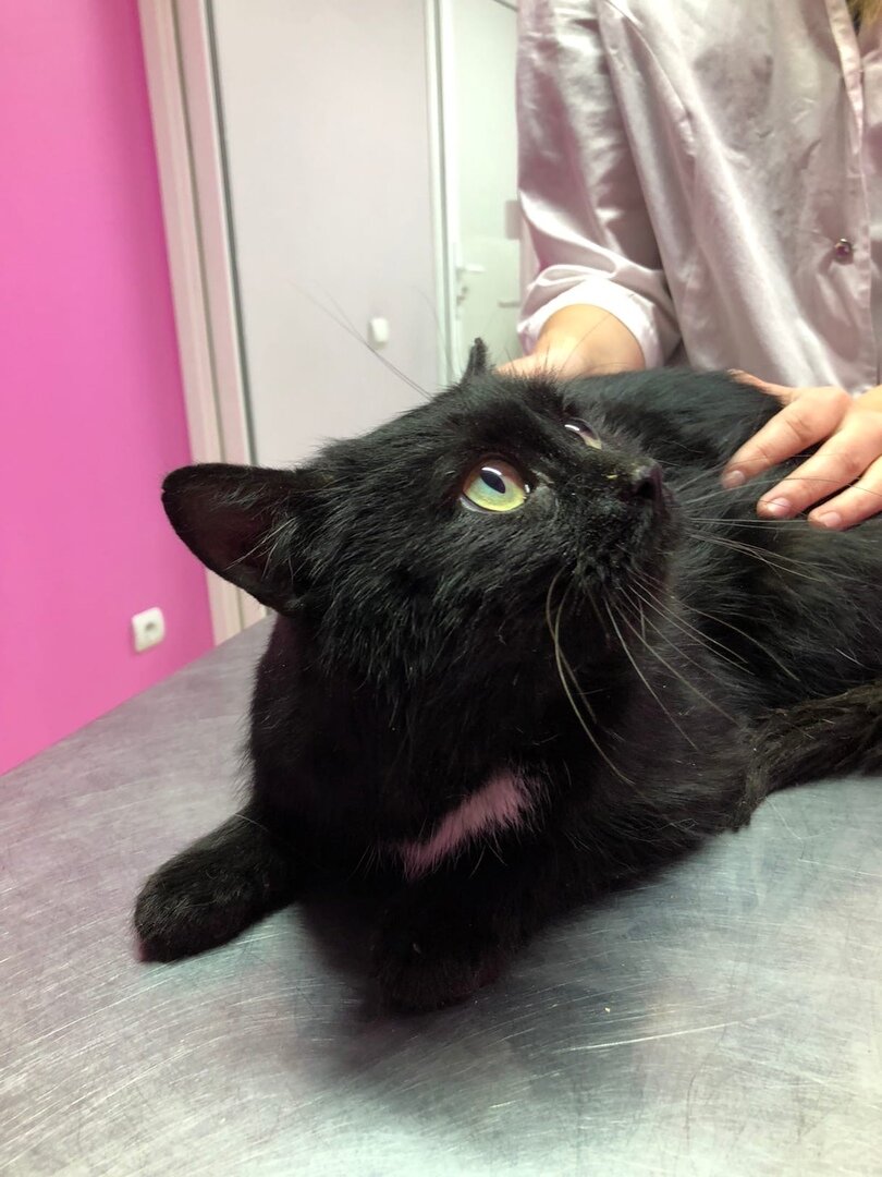 Посетили врача