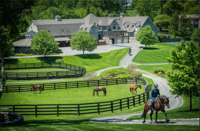 фото взято из открытых источников