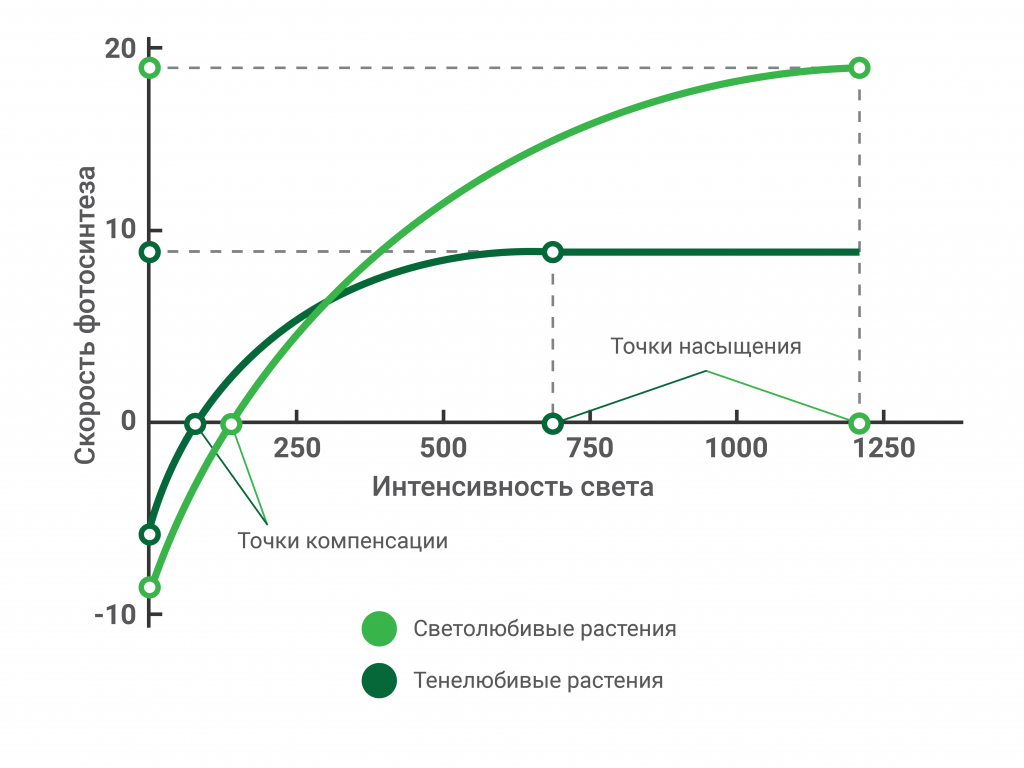 Повышение продуктивности фотосинтеза в искусственных экологических системах презентация