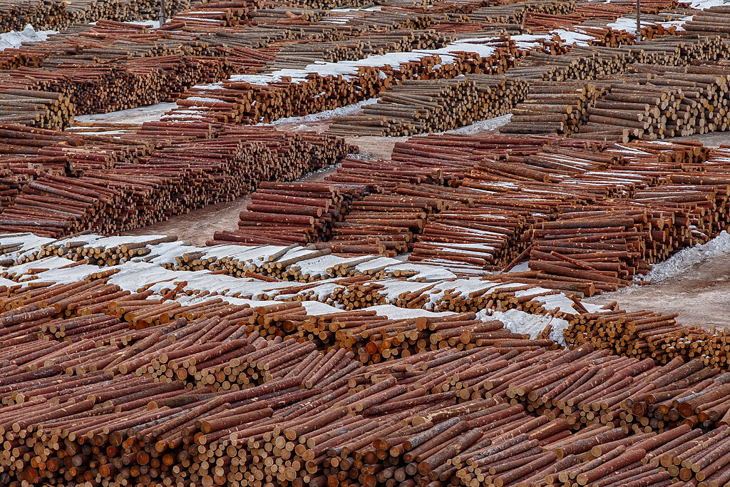 (взято из открытых источников)