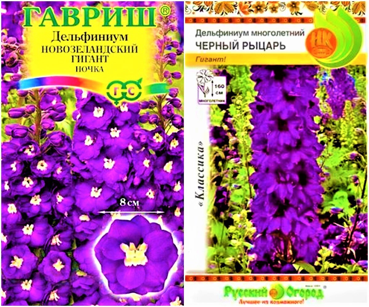   Семена высокорослых сортов дельфиниума в пакетиках. 