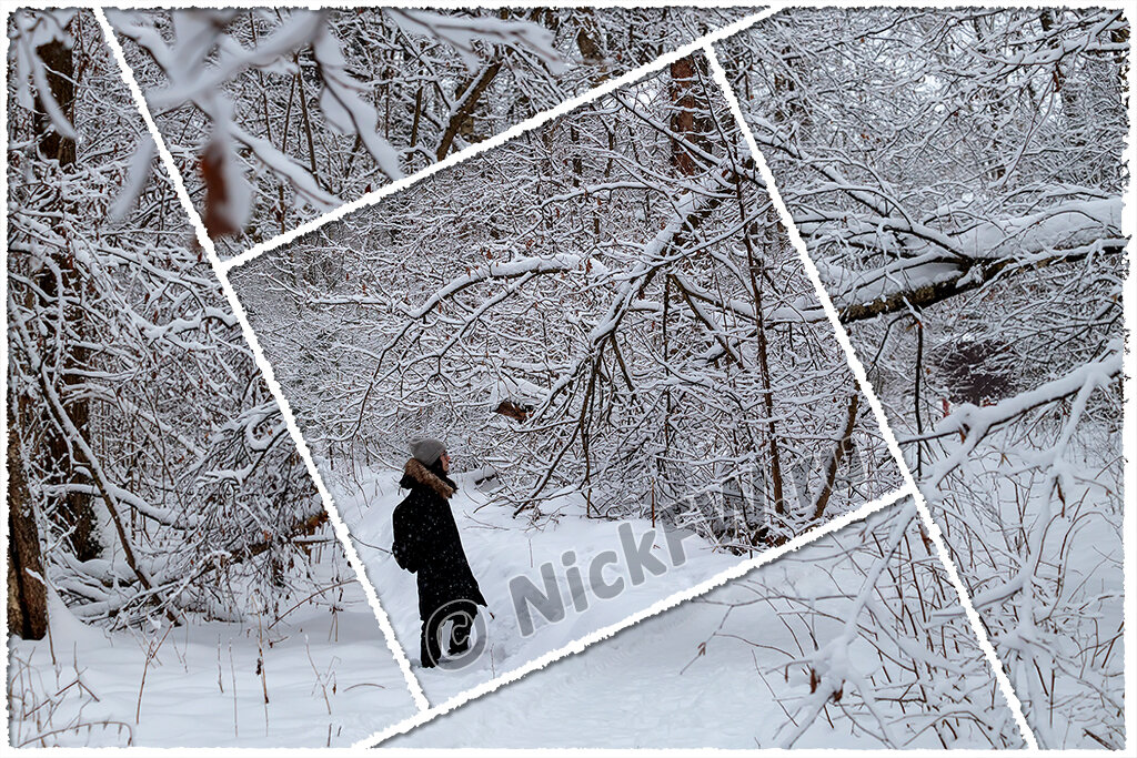 © «Фото.дзен - NickFW.ru»