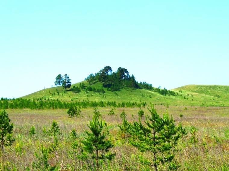 Реальное фото тех мест. 
