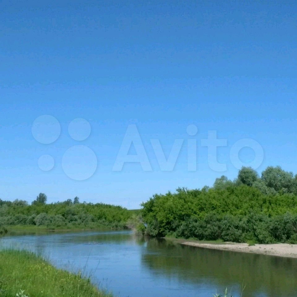 Юрты для самоизоляции сдают в аренду Алтайском крае | Алтайский портал  недвижимости | Дзен