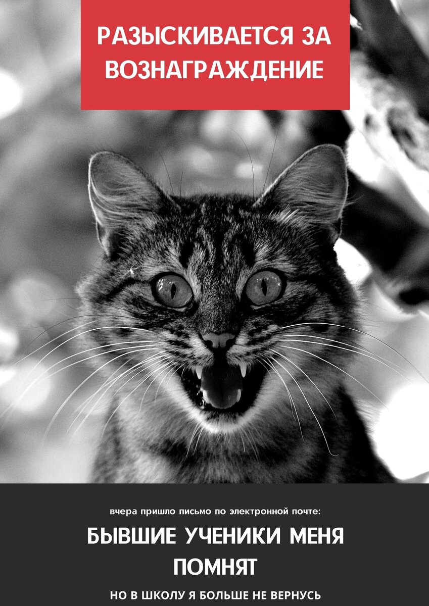 Плакат изготовлен мною лично)