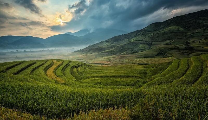 В Азии из-за недостатка пригодной для земледелия почвы люди давно уже научились строить террасы на склонах холмов