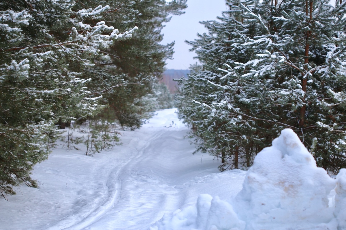 Тверская область