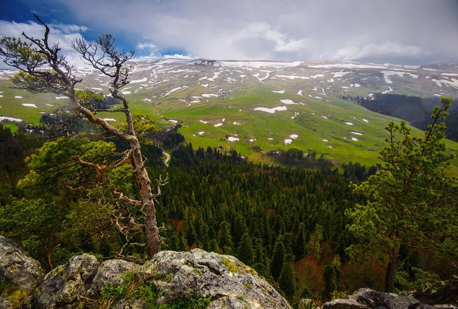 Плато Лаго-Наки 